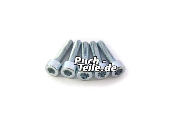 Kupplungsdeckelschraubensatz Kickstartmotor