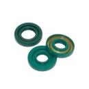 Wellendichtringsatz E50 Motor altes Modell NBR